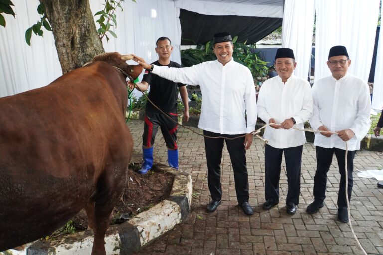 IMG-20250607-WA0045