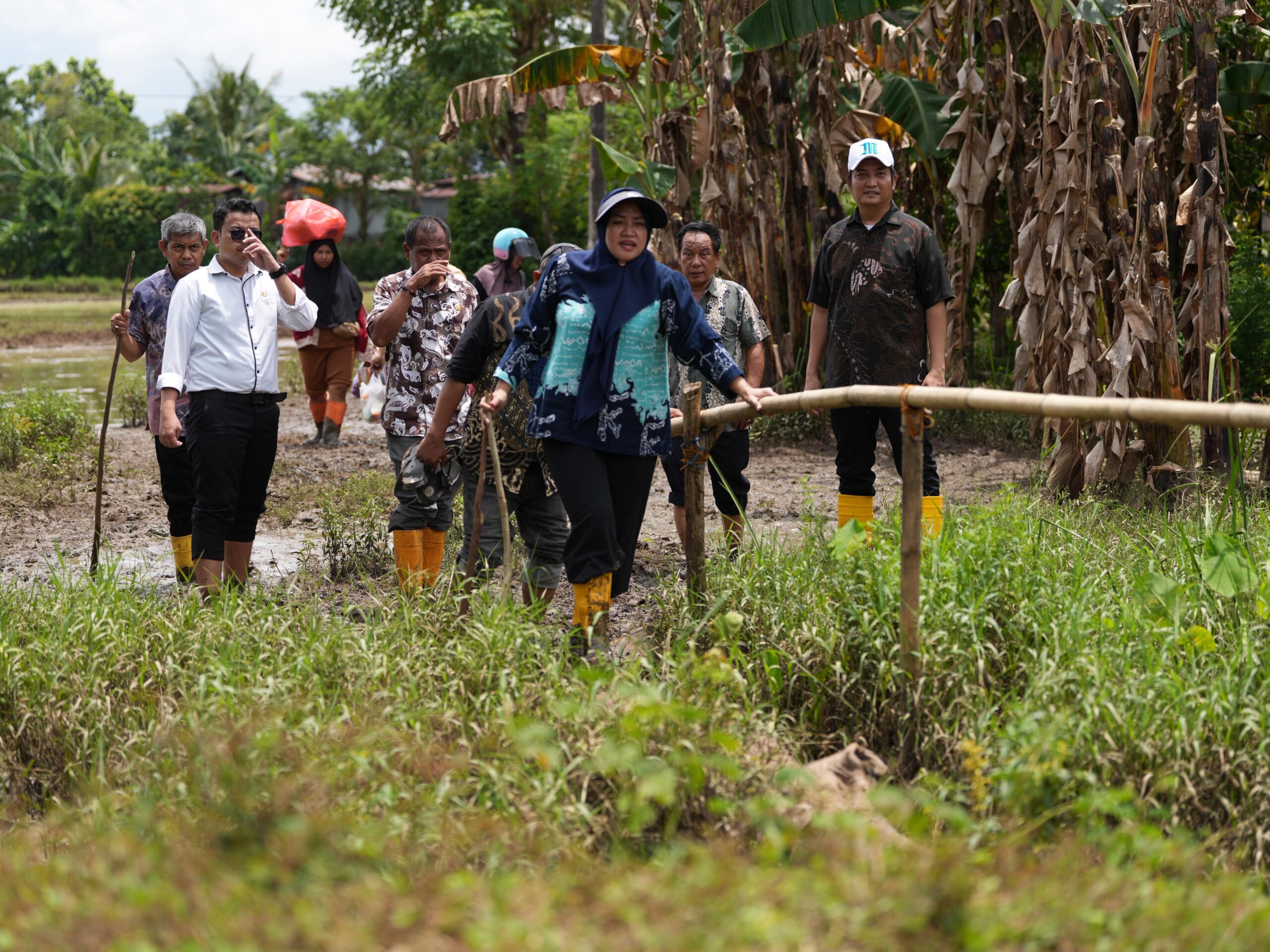 IMG-20260213-WA0031