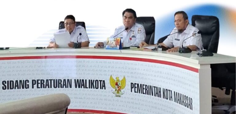 distan mks