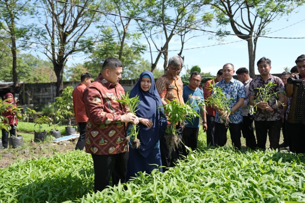 urban farming tamalate