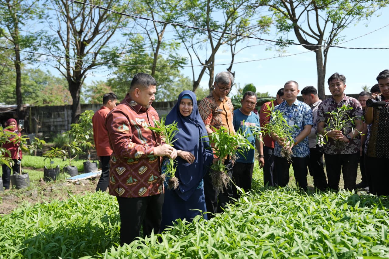 urban farming tamalate