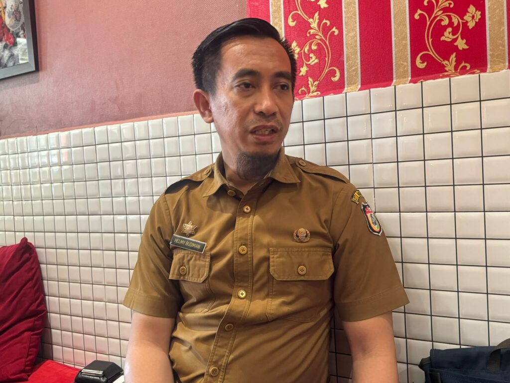 Helmi Kadis DLH