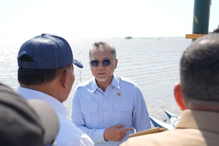 Menko Pangan Zulhas