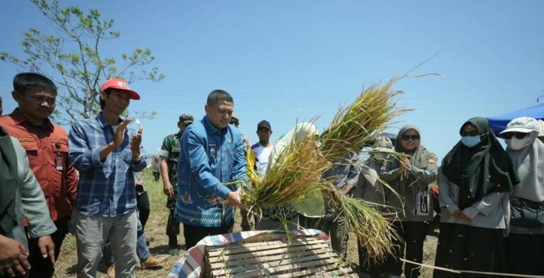 Bantuan Pupuk