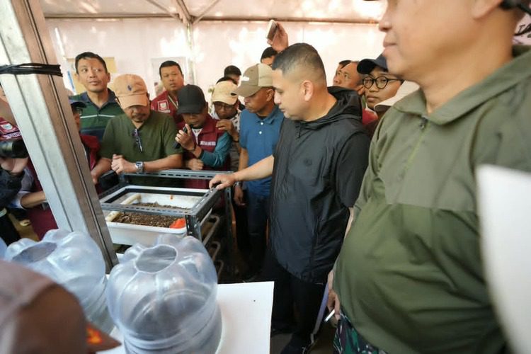 jelajah sampah di btp
