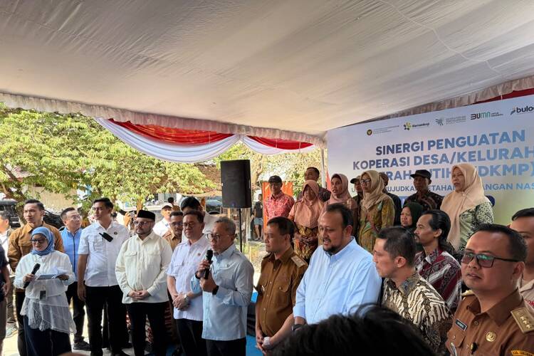 PLN